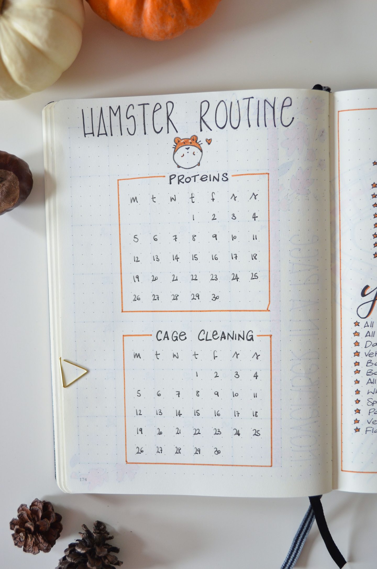Lifestyle | November Bujo: Autumn Inspired Bullet Journal • Elena's Edit