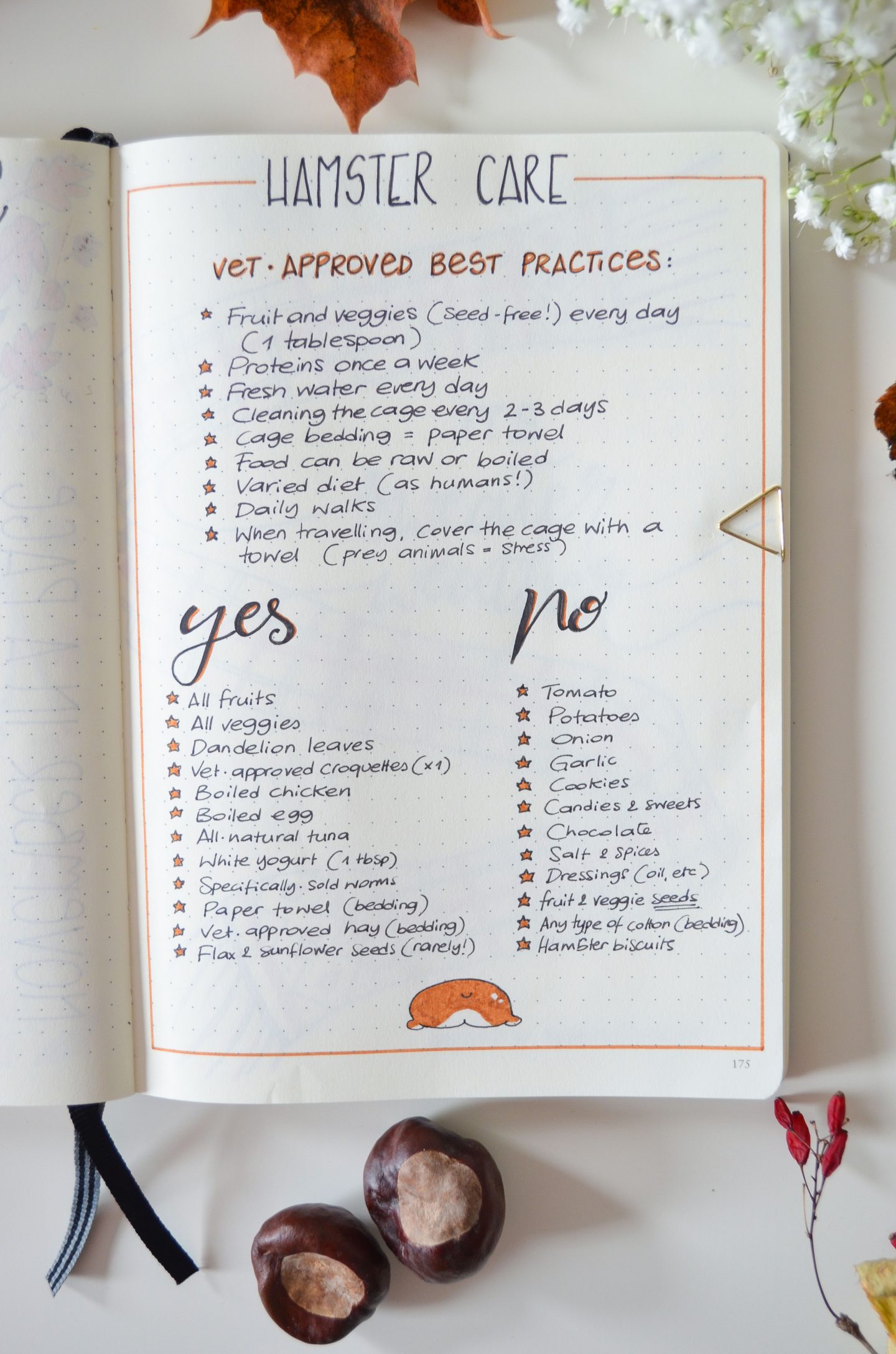Lifestyle | November Bujo: Autumn Inspired Bullet Journal • Elena's Edit