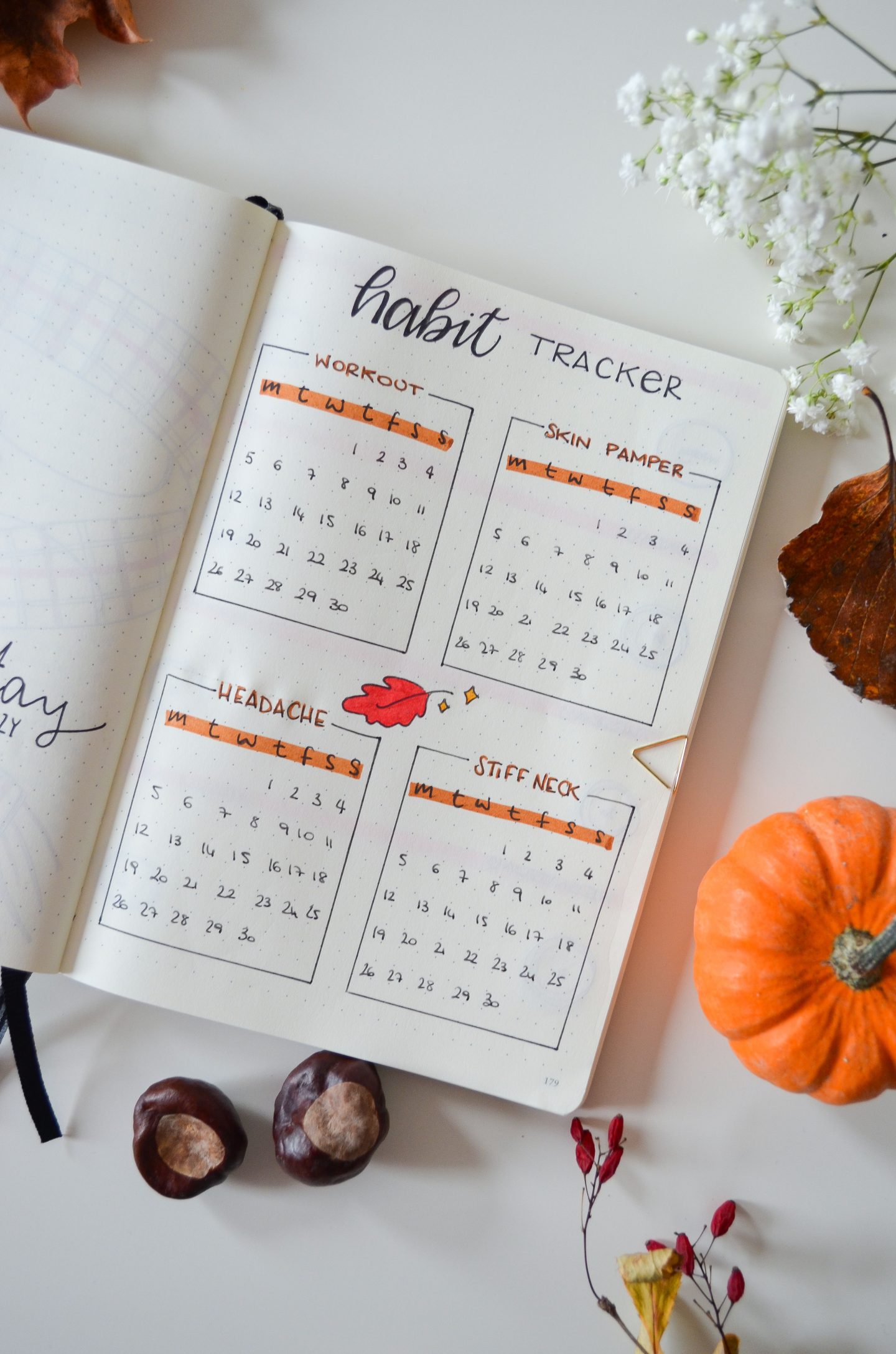 Lifestyle | November Bujo: Autumn Inspired Bullet Journal • Elena's Edit