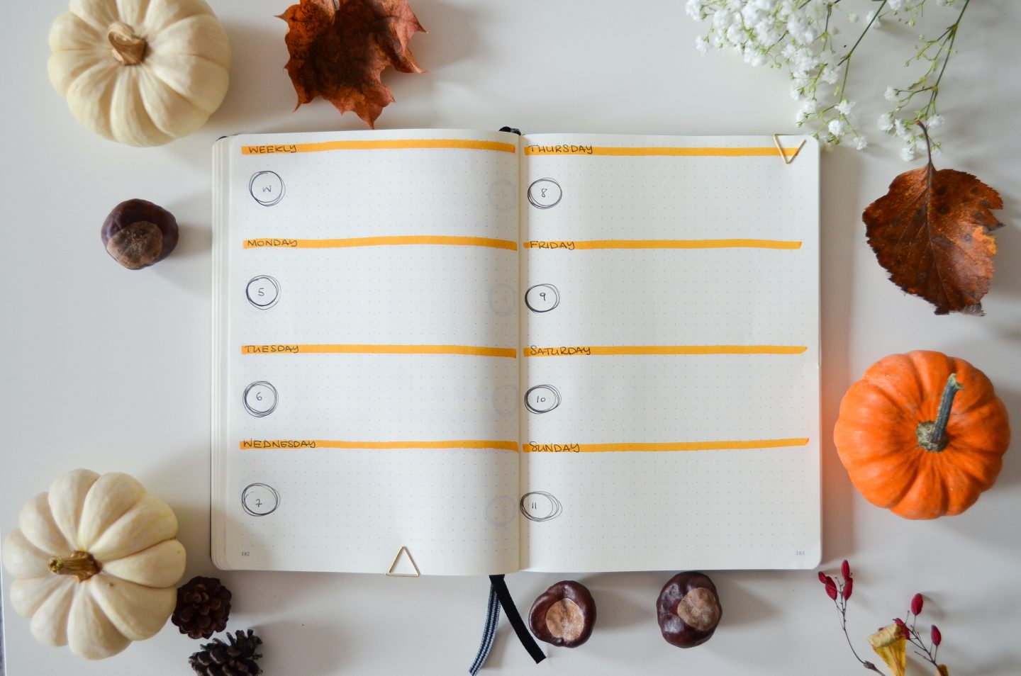 Lifestyle | November Bujo: Autumn Inspired Bullet Journal • Elena's Edit